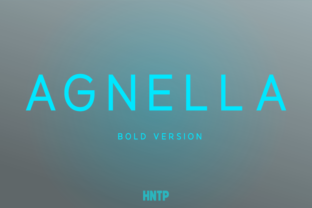 Agnella Bold: A Designer’s Honest Review