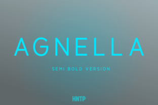 Agnella Semi-Bold Font for Crafters