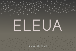 Eleua Bold: A Clean Sans Serif Font for Web Design