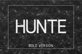 Hunte Bold: A Clean Sans Serif Typeface for Web Design