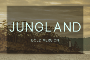 Jungland Bold: A Warm Typeface for Makers