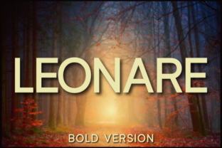 Leonare Bold: A Grounded Sans Serif Typeface