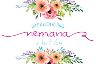 Nemana: The Playful Display Font for Bold Branding