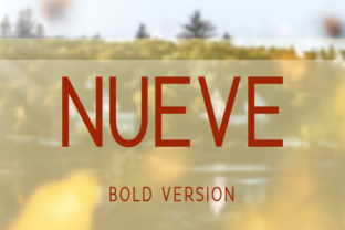 Nueve Bold: The Typeface for Clear Campaigns