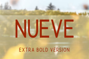 Nueve Extra Bold Typeface Review