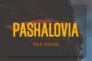 Pashalovia Bold: A Typeface for Clear Branding