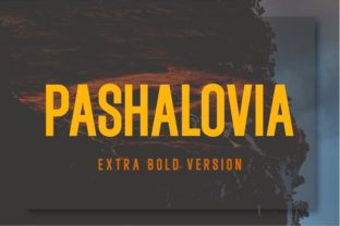 Pashalovia Extra Bold: A Bold Typeface for Campaigns