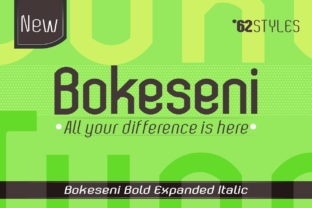 Reviewing Bokeseni Bold Expanded Italic