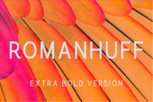 Romanhuff Extra Bold: A Strong Typeface for Brands