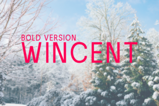 Wincent Bold: A Modern Sans Serif Typeface for Web Design