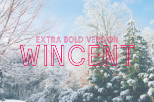 Wincent Outline Extra Bold Typeface